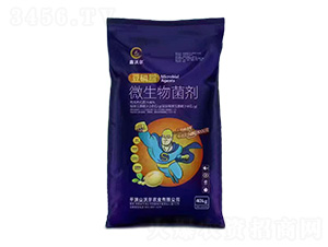 ����֬΢�������-���֠�-�֠��r(n��ng)�I(y��)