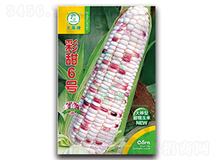 ����6̖���׷N��-�����N�I(y��)