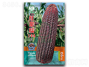 �t��Ŵ144���׷N��-�����N�I(y��)