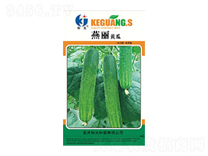 �����S��-�ƹ�N��