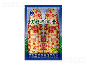 �����Ŵ1̖-�ƹ�N��