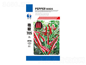 艷椒705辣椒種子-科光種苗