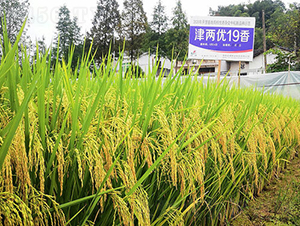 ��Ƀ�(y��u)����-ˮ���N��-�𽡷N�I(y��)