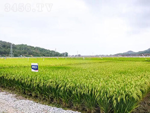 ��Ƀ�(y��u)28-ˮ���N��-�𽡷N�I(y��)