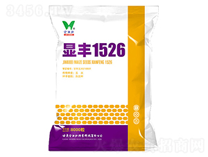 顯豐1526-玉米種子-金西北種業(yè)