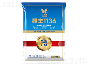 顯豐1136-玉米種子-金西北種業(yè)