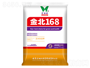 金北168-玉米種子-金西北種業(yè)