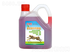 41%�ݸ�좮������}����s�ͣ�-�ݼ{˹-�V�|���r