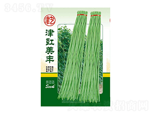 ���ǷN��-�������S-���S�r(n��ng)�I(y��)