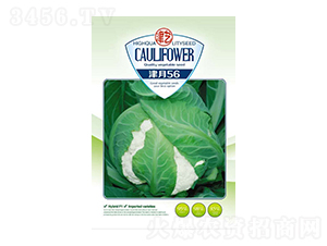 ���˷N��-����56-���S�r(n��ng)�I(y��)