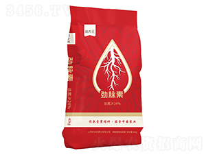 勁脈素（碳酶銨鉀）-鑫鴻海