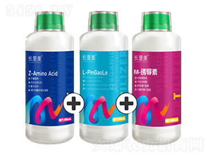 �L(zh��ng)����(Z+L+M)-����֮�G