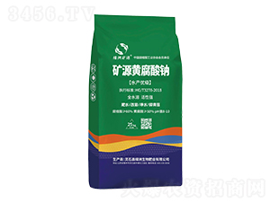 �VԴ�S�����c-�G������