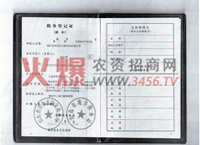 ����(w��)��ӛ�C