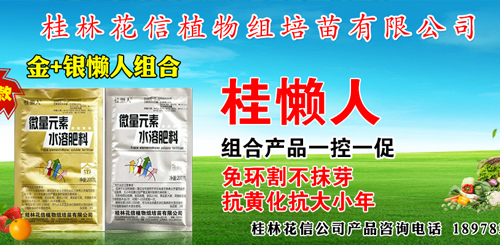 ���ֻ���ֲ��M�������޹�˾